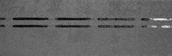 Коньково-карнизная черепица Docke Premium, черника купить в Камышине